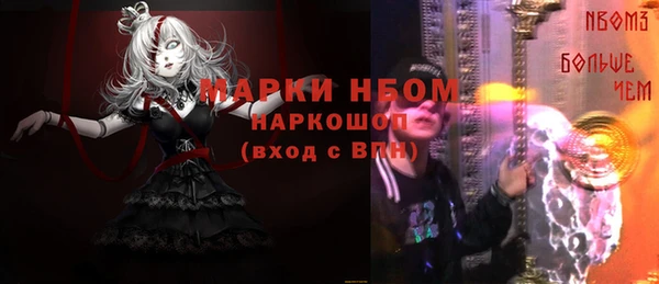 стаф Абаза