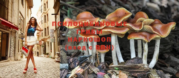 стаф Абдулино