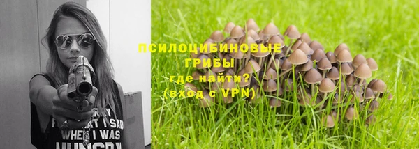 стаф Абдулино