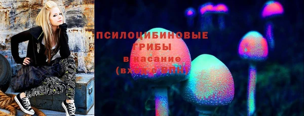 хмурый Новозыбков