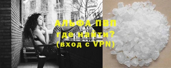 хмурый Новозыбков